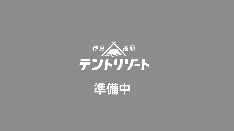 ヴェラサイト